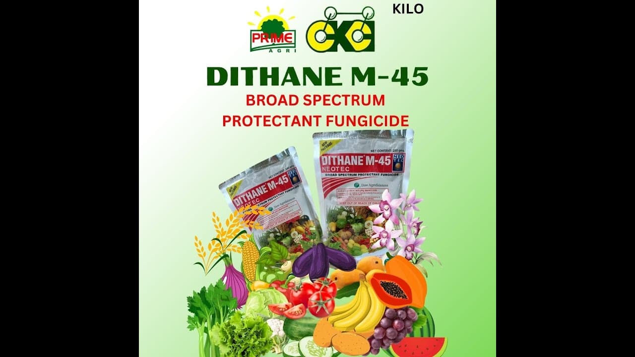 Product Featured