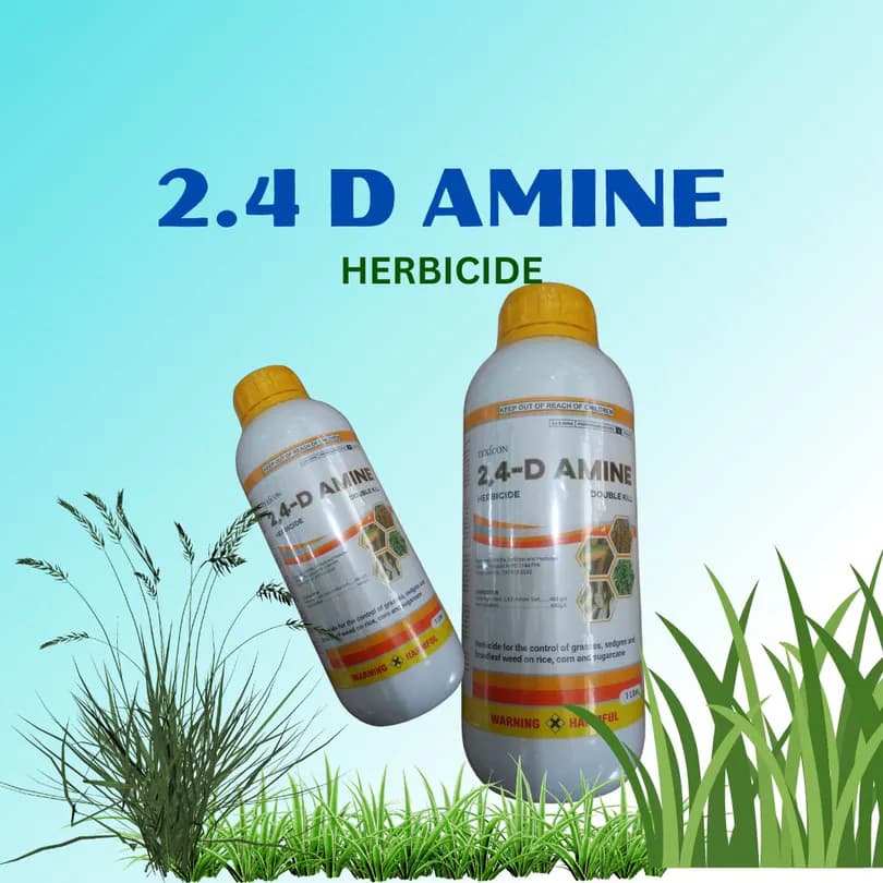 Product Featured