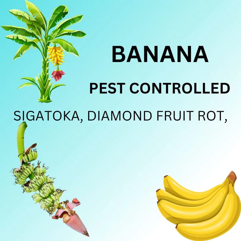Product Featured