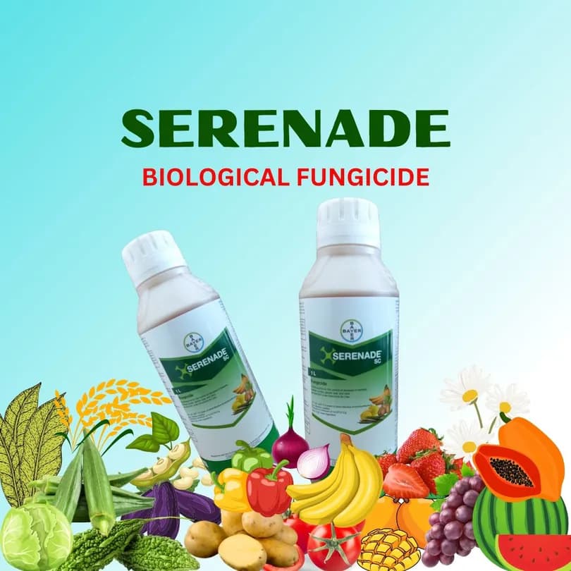 Product Featured