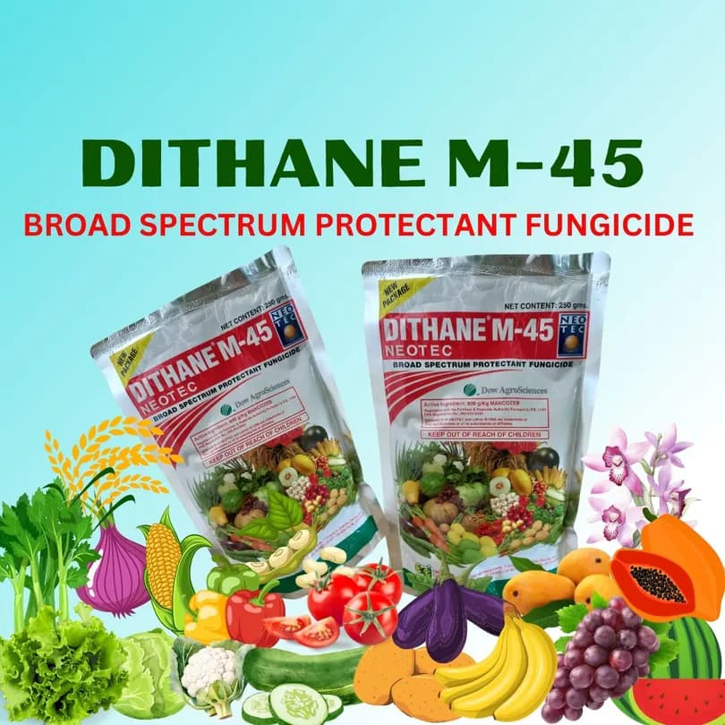 Product Featured