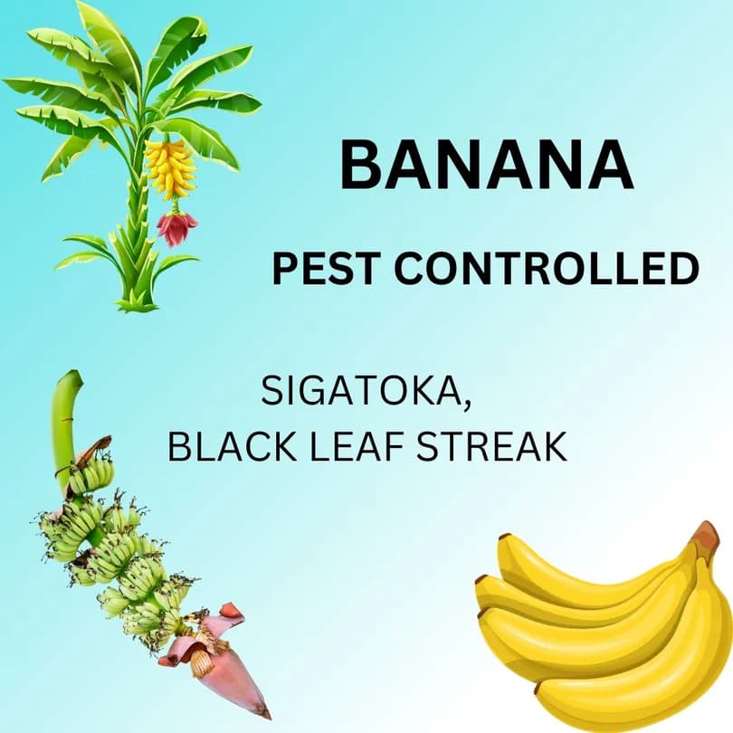 Product Featured
