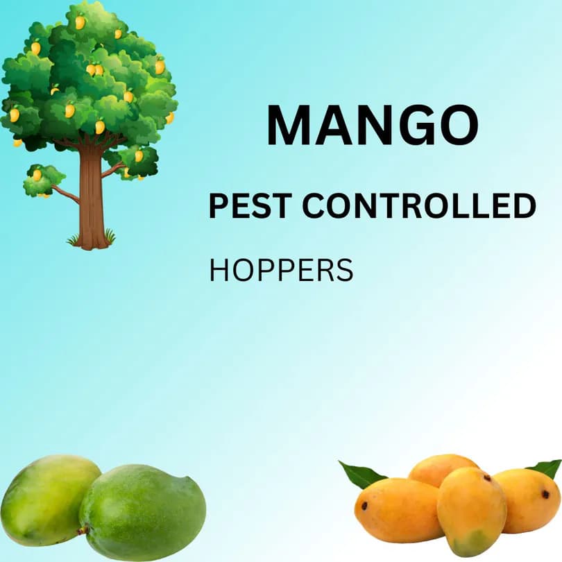 Product Featured