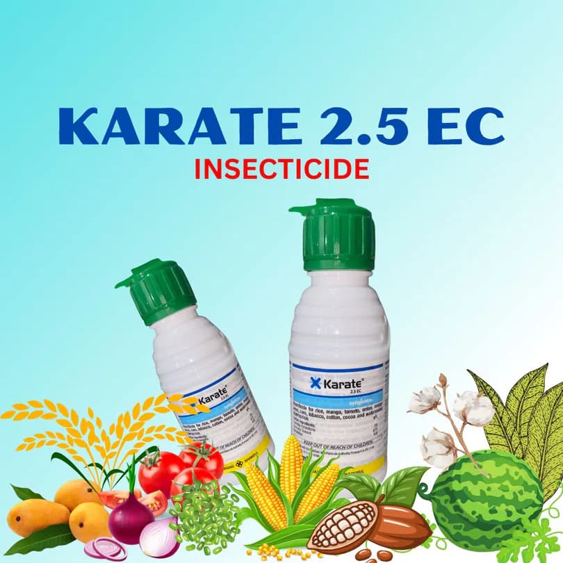 Product Featured