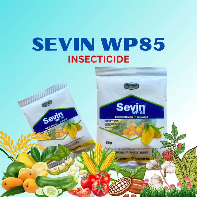 Product Featured