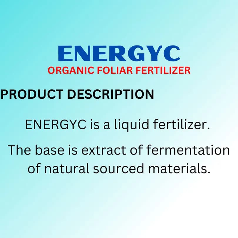 Product Featured