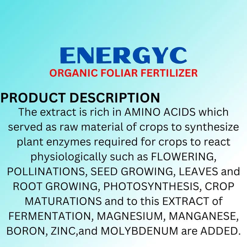 Product Featured