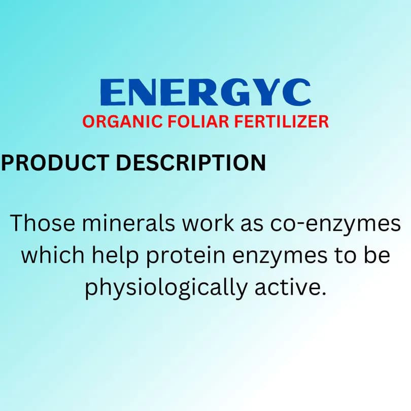 Product Featured