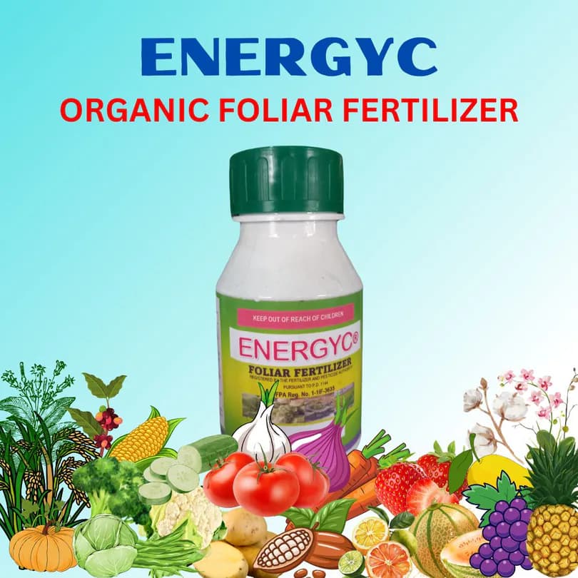 Product Featured